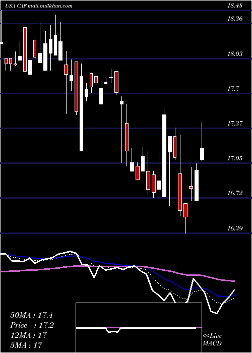  Daily chart MorganStanley