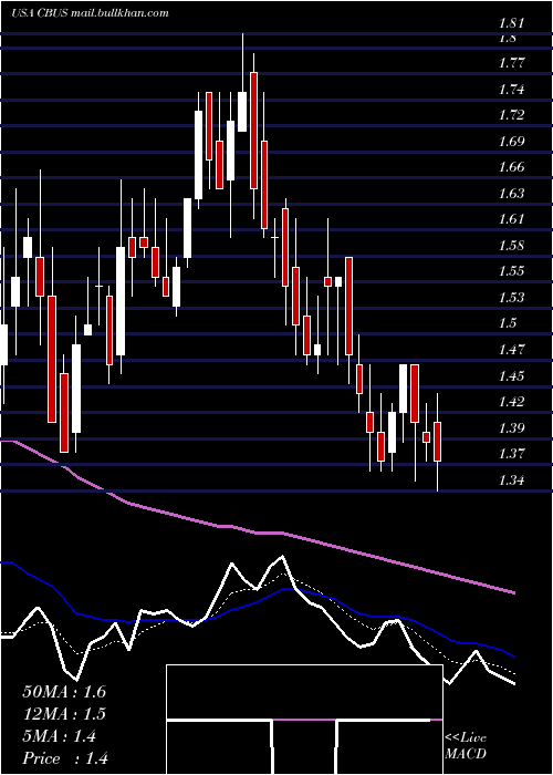 Daily chart CibusCorp