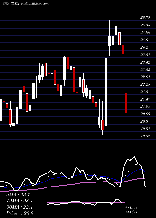  Daily chart CelldexTherapeutics
