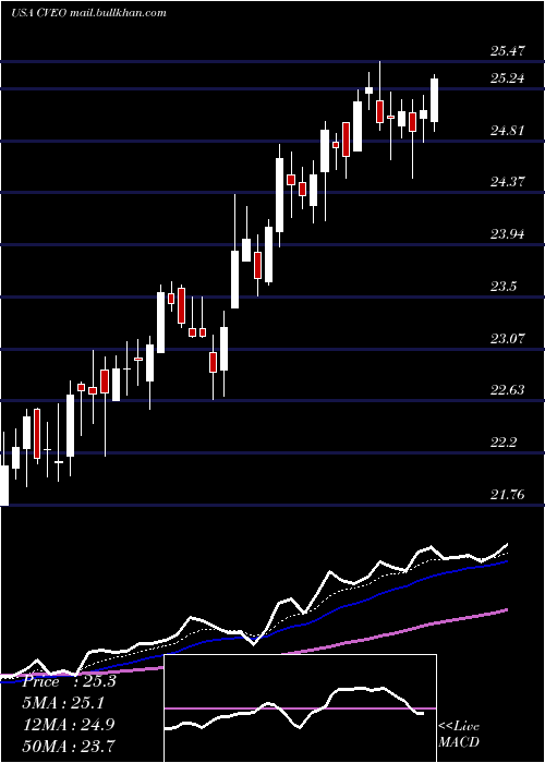  Daily chart CiveoCorporation