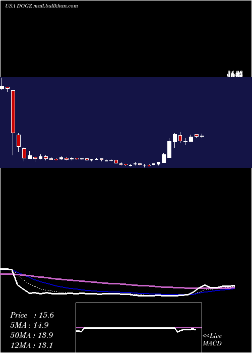  Daily chart DognessInternational