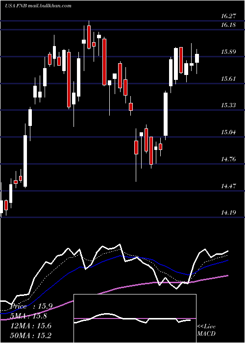  Daily chart FN