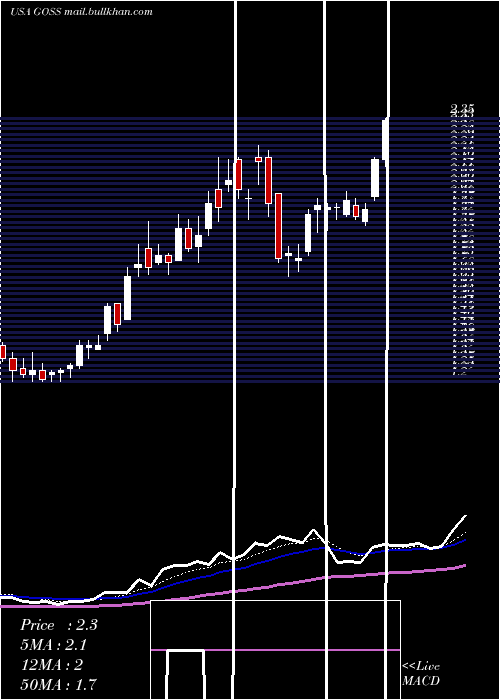 Daily chart GossamerBio