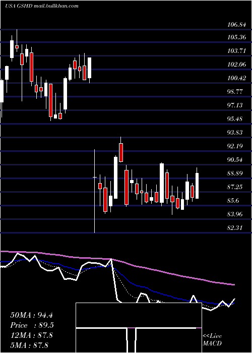  Daily chart GooseheadInsurance