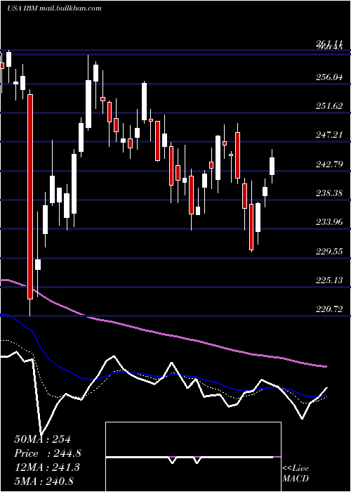  Daily chart InternationalBusiness