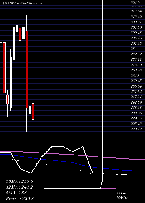  monthly chart InternationalBusiness