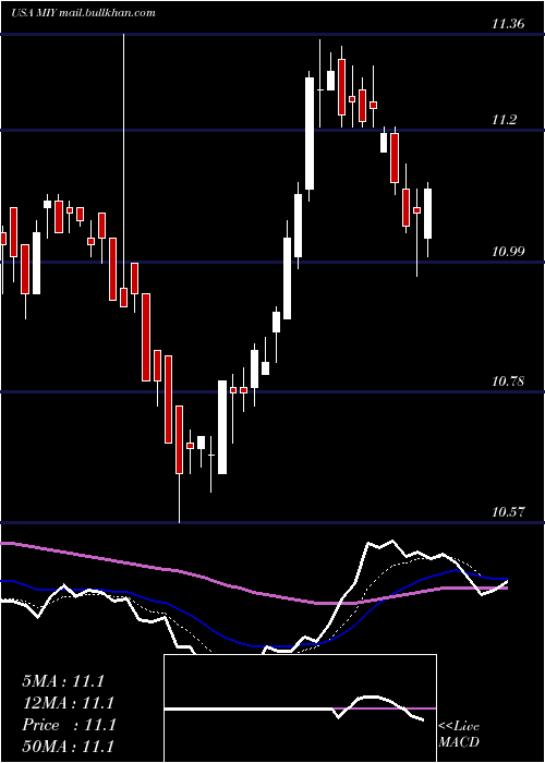  Daily chart BlackrockMuniyield