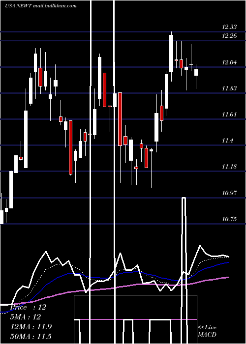  Daily chart NewtekBusiness