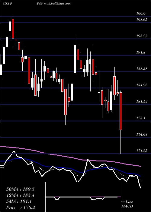  Daily chart PaloAlto