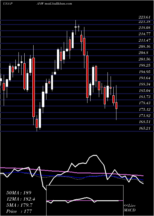  weekly chart PaloAlto