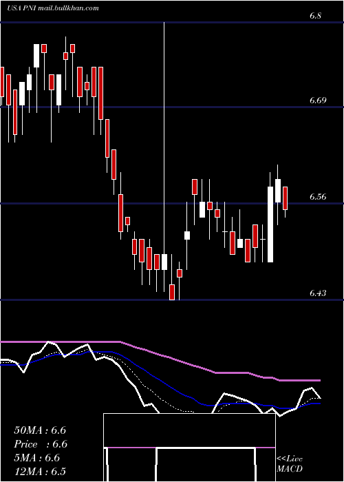  Daily chart PimcoNew
