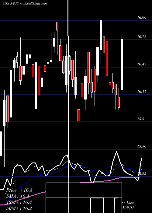  Daily chart SilvercrestAsset