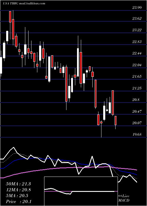  Daily chart ThunderBridge