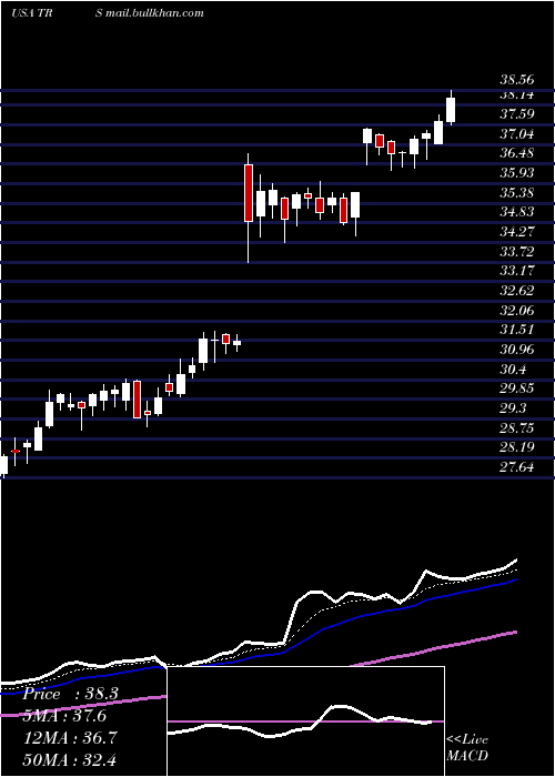  Daily chart TrimasCorporation
