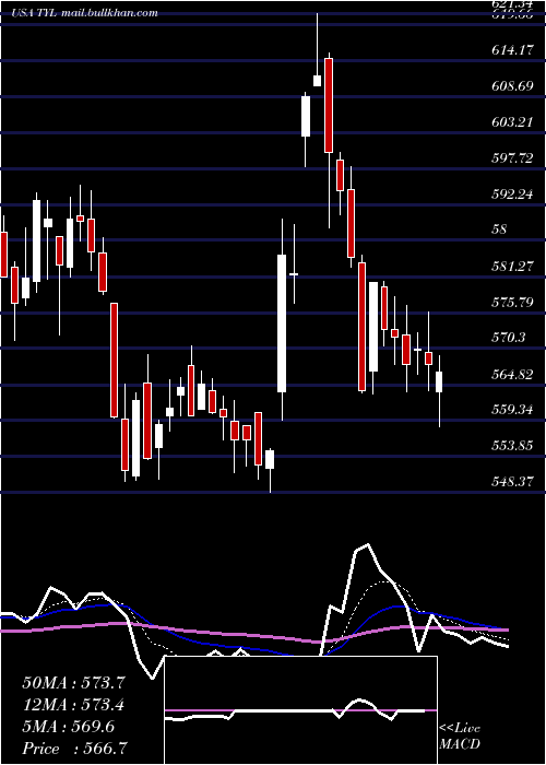  Daily chart TylerTechnologies