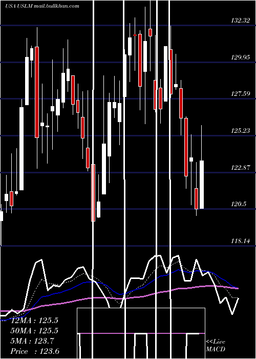  Daily chart UnitedStates