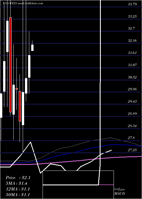  monthly chart WeycoGroup